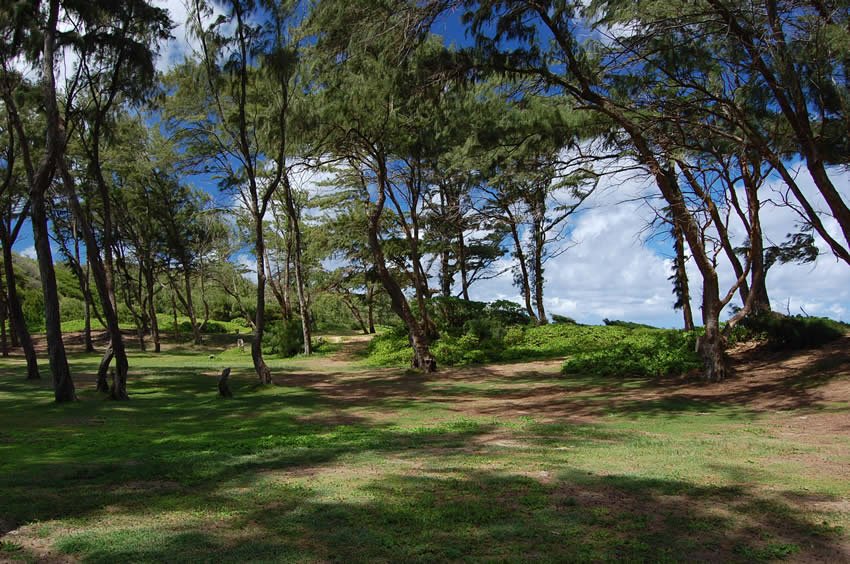 Hau'ula scenic view