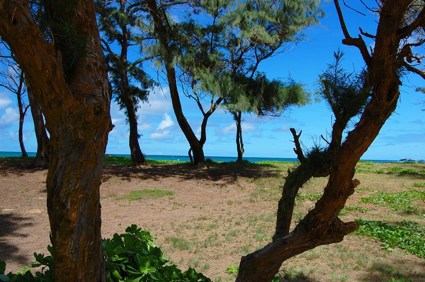 View to the azure blue ocean