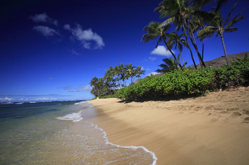 Scenic Oahu beach