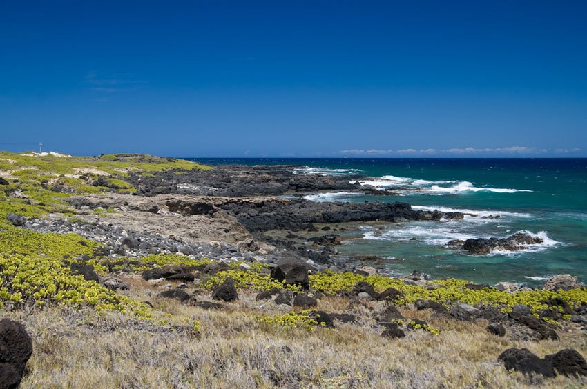 Lava rocks