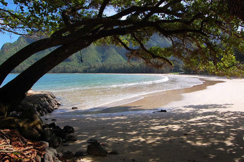 Great beach for picnics