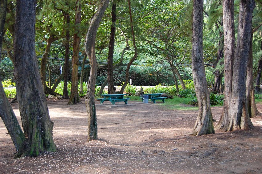 Kahana picnic area with plenty of shade