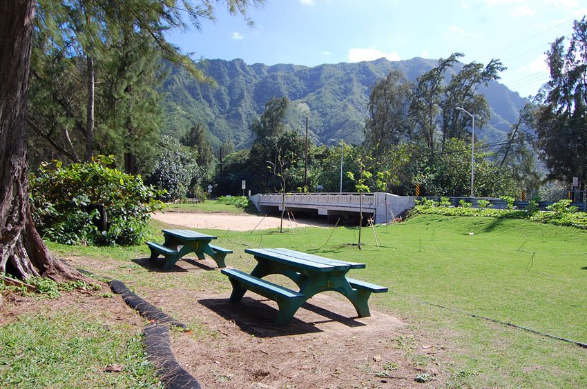 Picnic tables