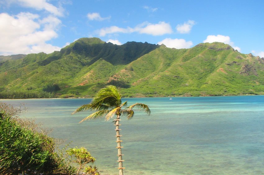 View from Kamehameha Highway