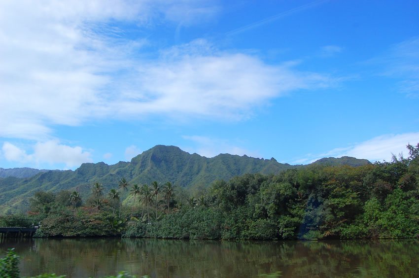 Kahana Stream flows into ocean