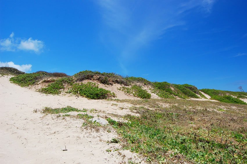 Kahuku beachfront scenery