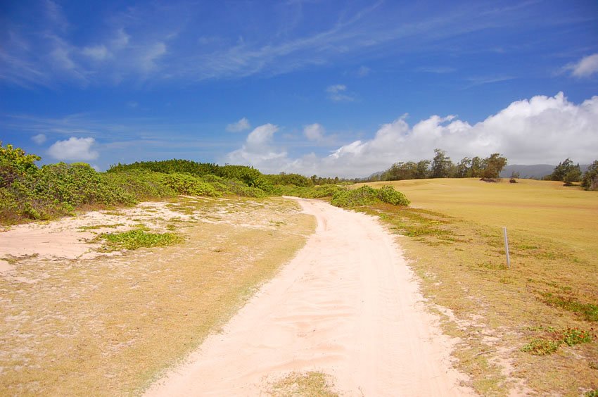 Dirt road near Kahuku Beach