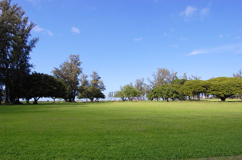 Big park in Haleiwa