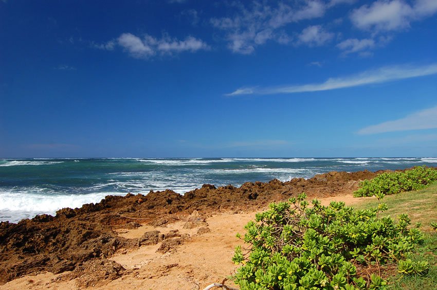 Rocky shoreline