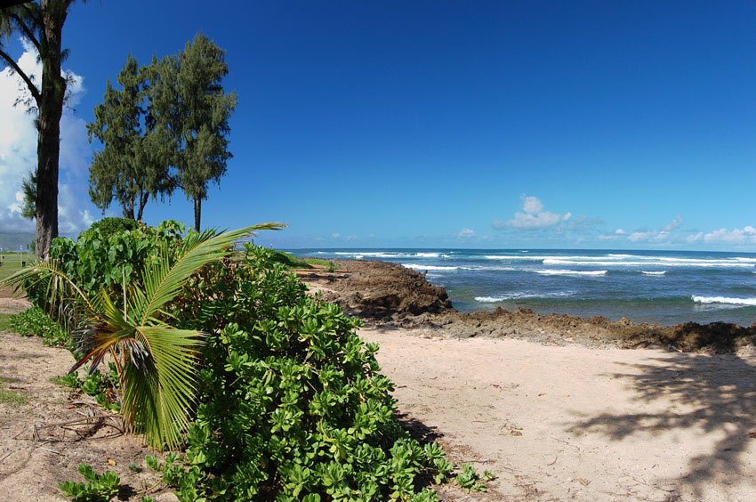 Eastern end of Kaiaka Bay