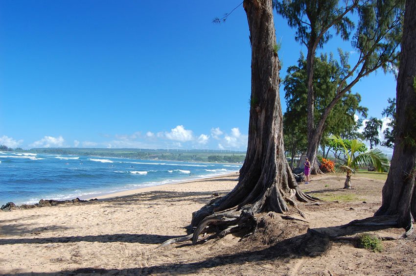 Eastern end of Kaiaka Bay