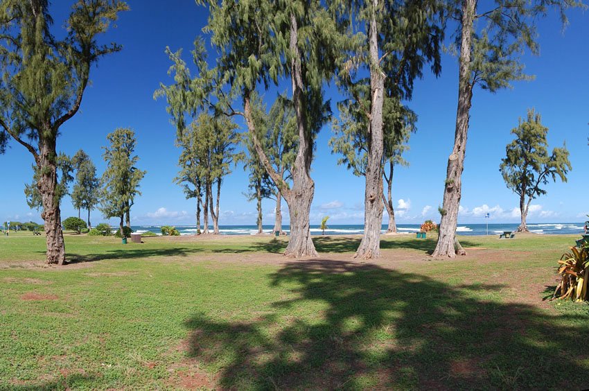 North Shore Oahu