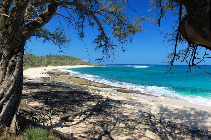 Scenic North Shore beach