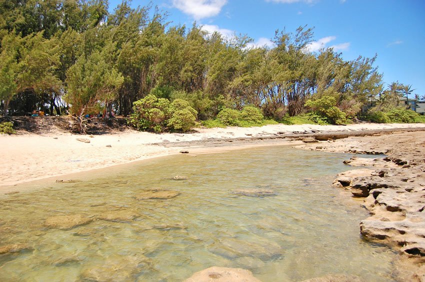 Shallow lava rock pool