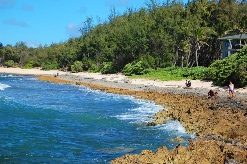 Sharp lava rocks near Turtle Bay Resort