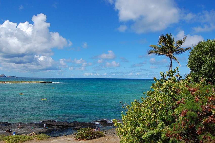 View from a lookout point near the beach