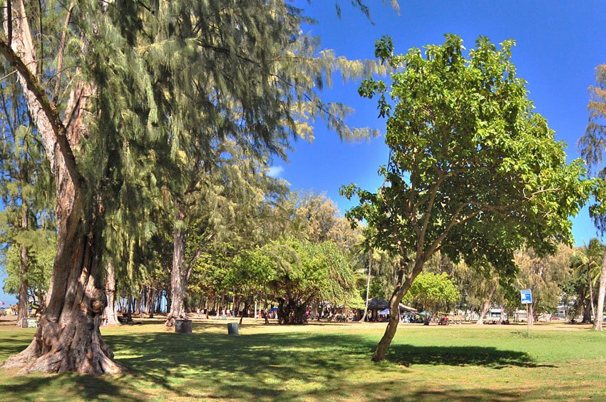 Kailua Park