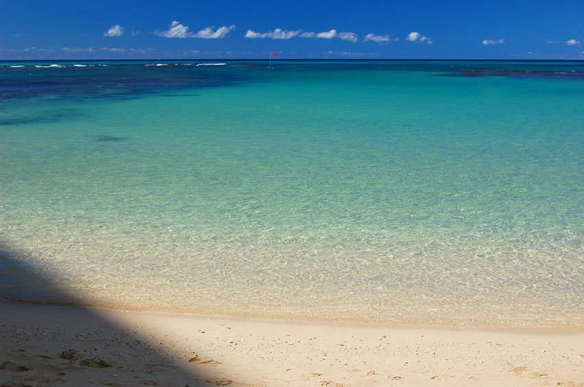 Good snorkeling beach in Waikiki