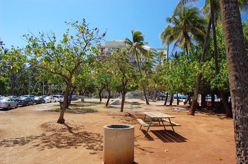 >Kaimana Beach picnic table