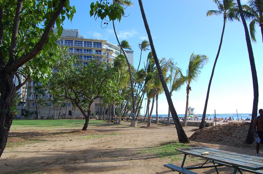 Picnic table with view to the beach