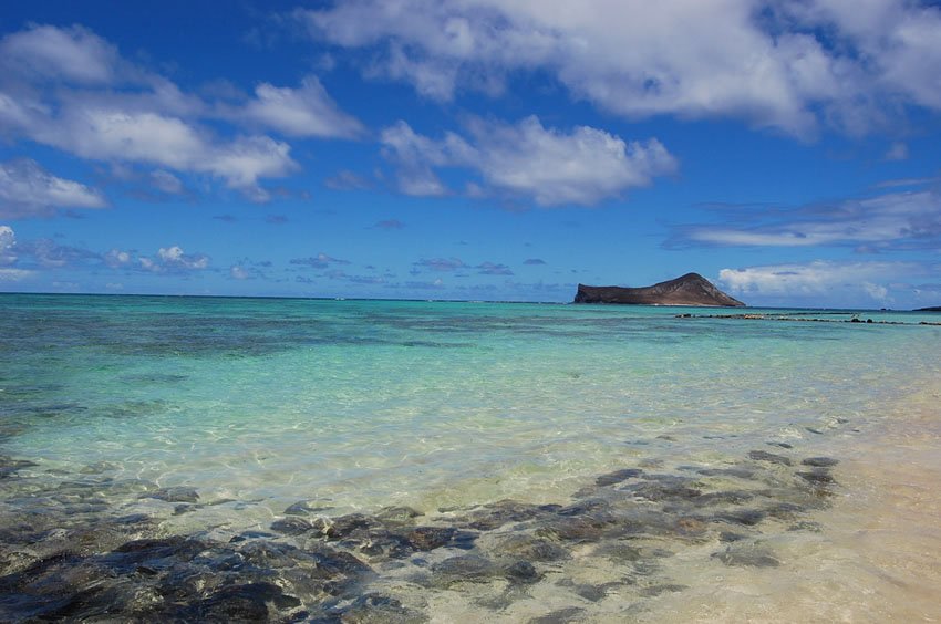 View to Rabbit Island