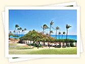 Kakaako Waterfront Park