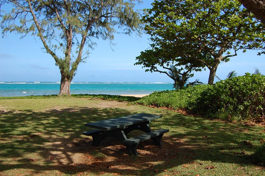 Picnic table with scenic view