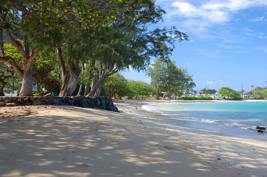 Plenty of shade on the beach