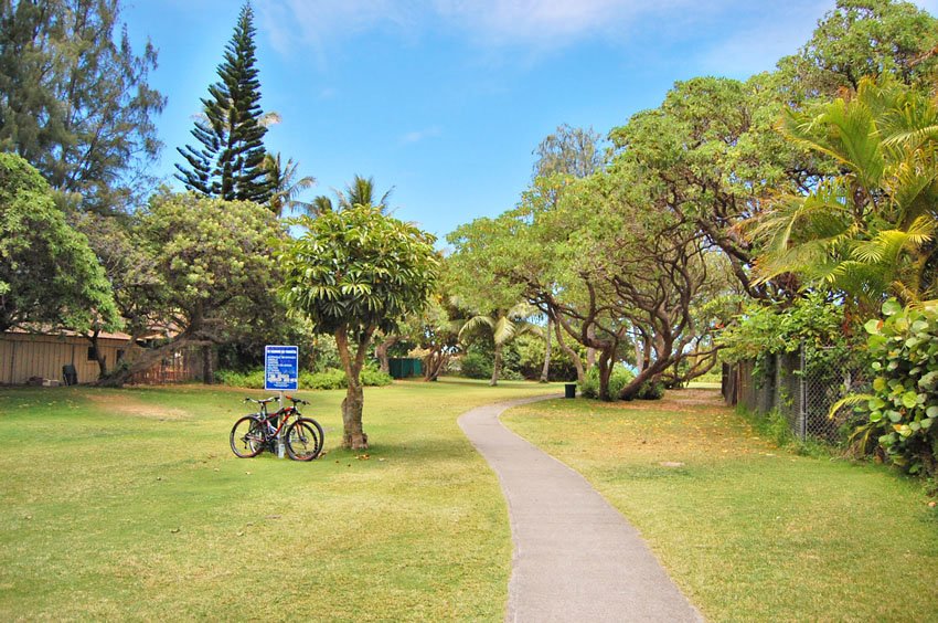 Park walkway