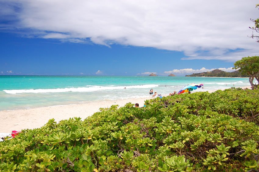 White-sand beach in Kailua