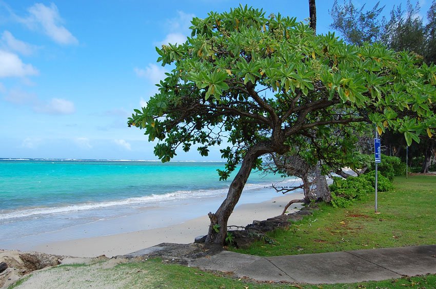 Azure blue water of Kaluanui Beach