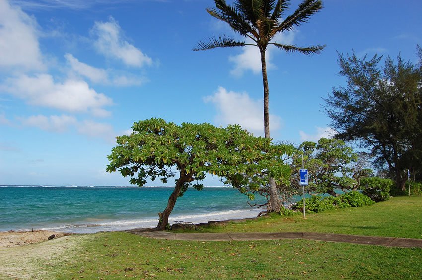 Beach park in Punalu'u