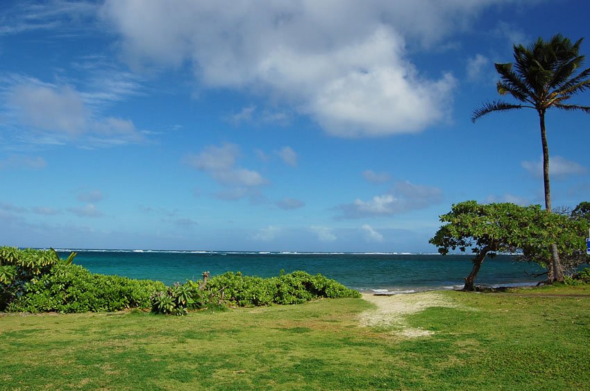 Scenic view to the ocean