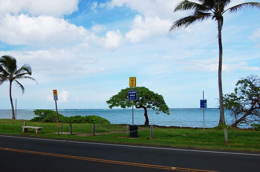 View from Kamehameha Hwy