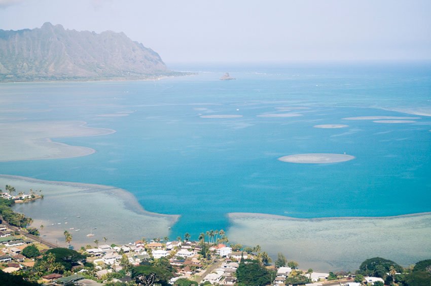 Overlooking Kaneohe Bay