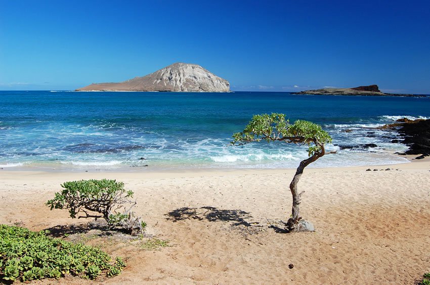 View to Rabbit Island