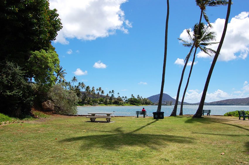 Overlooking Portlock