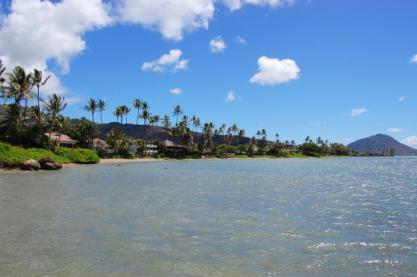 Beachfront homes