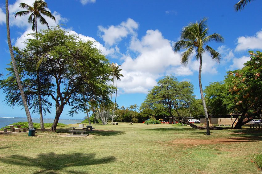 Large park in Hawaii Kai