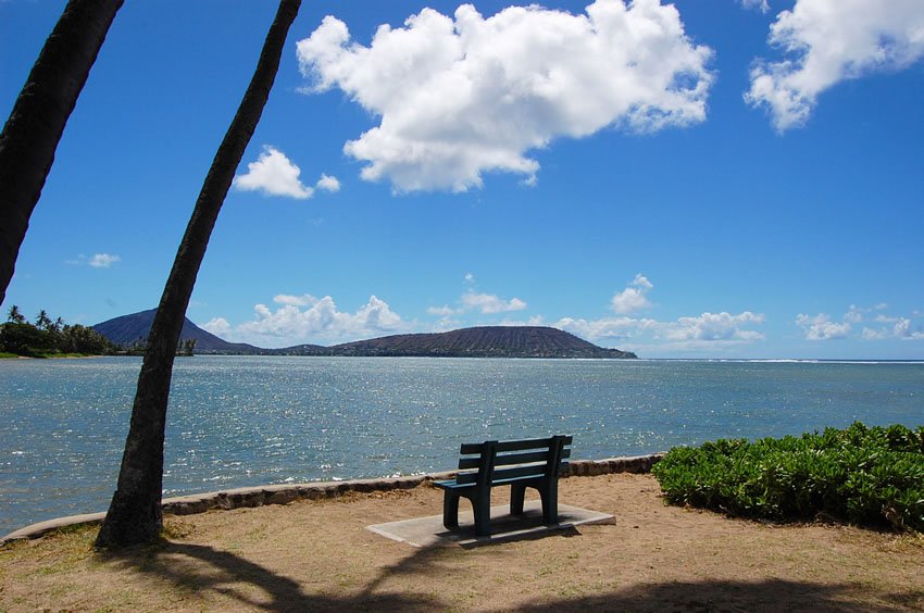 Bench overlooking Portlock