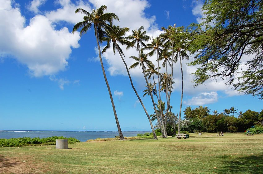 Spacious grassy area