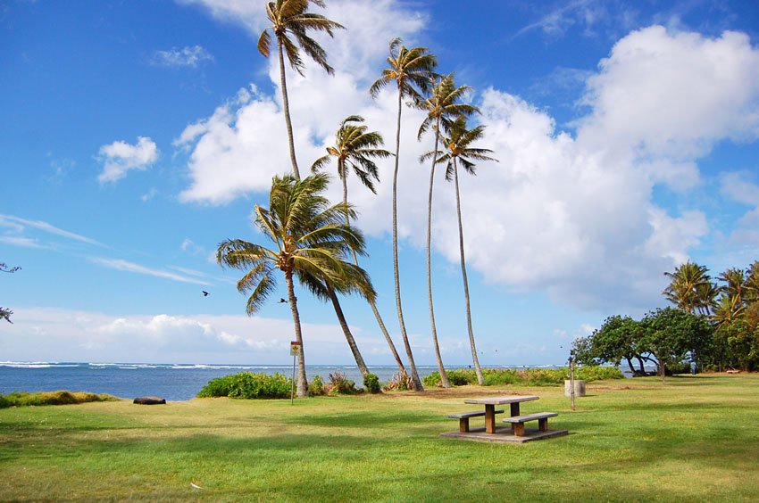 Sunny day on Oahu's south shore