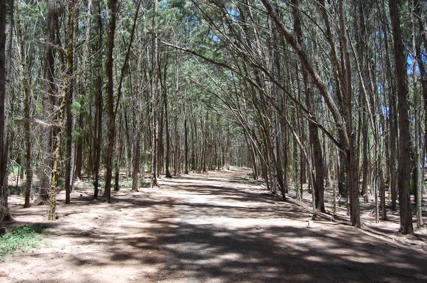 Trail to Kawela Bay