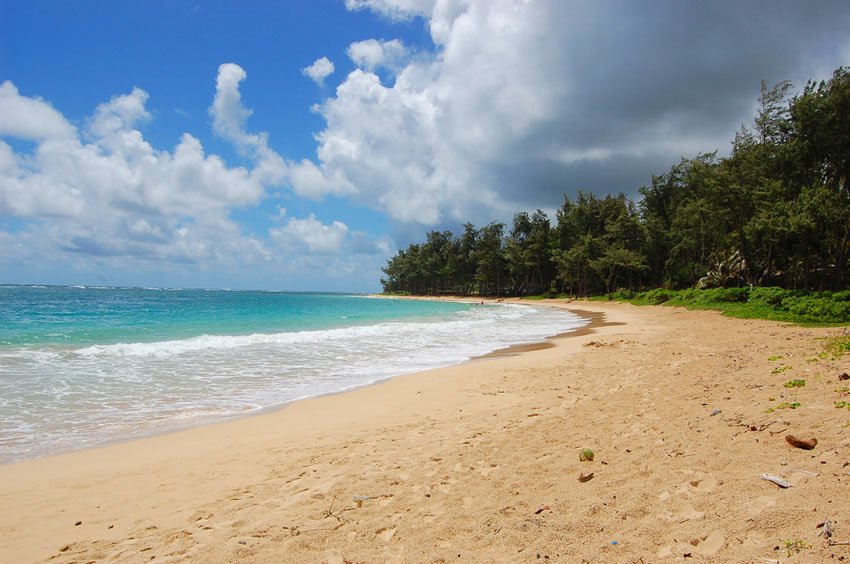 Beach in Hau'ula