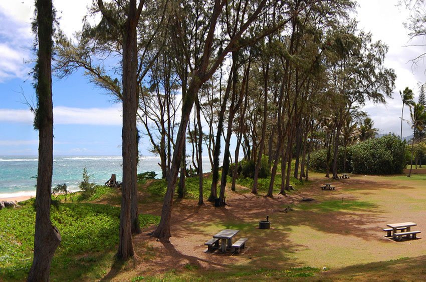 Oceanfront picnic area