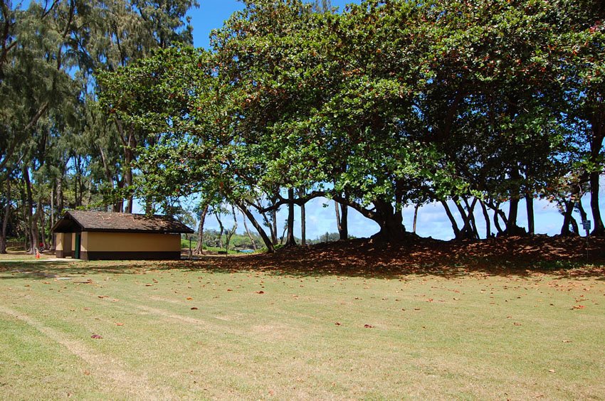 Restrooms in the park