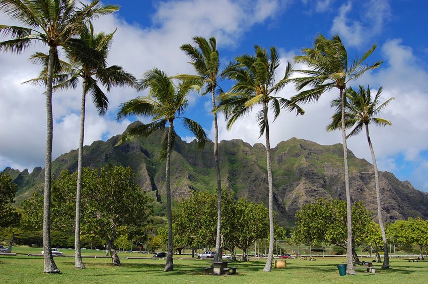 Beautiful Oahu park