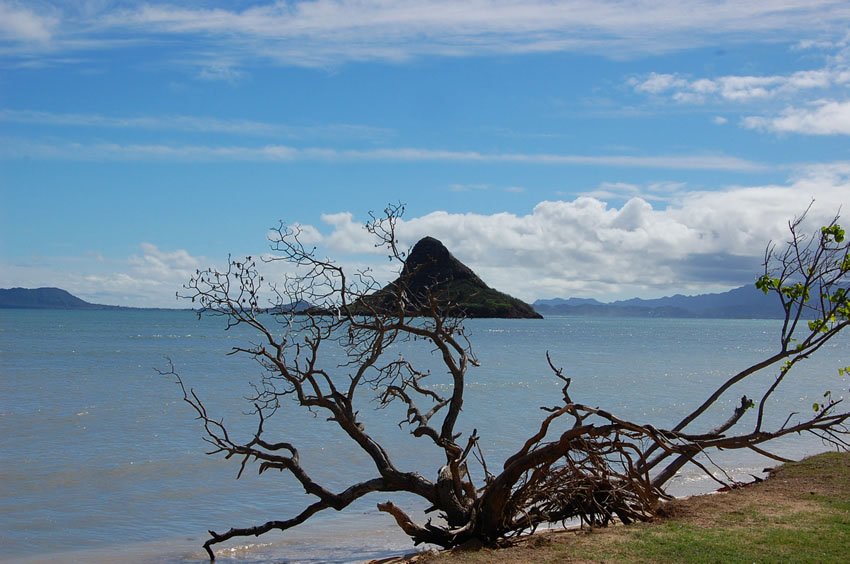 Chinaman's Hat