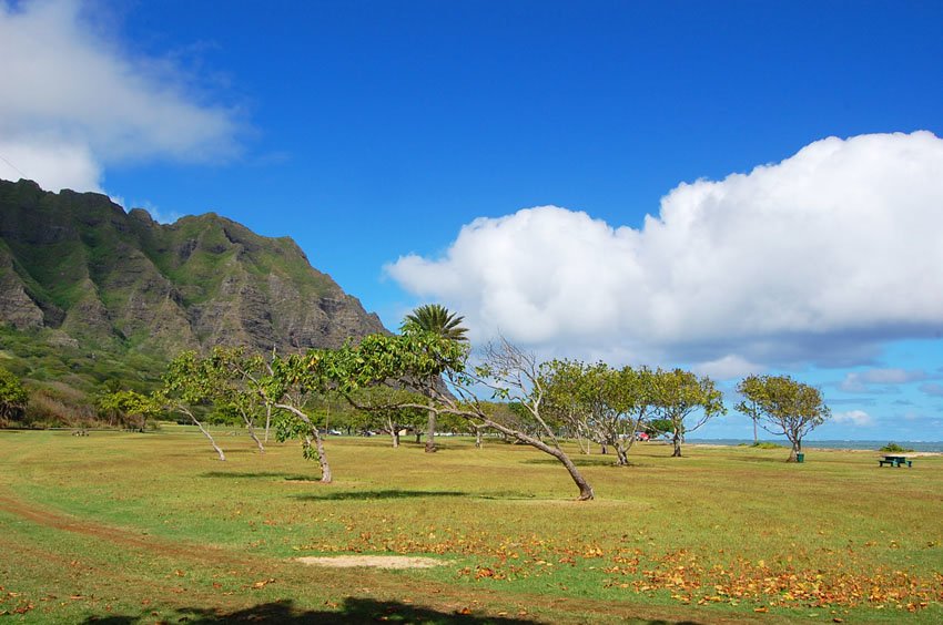 Scenic beach on Oahu