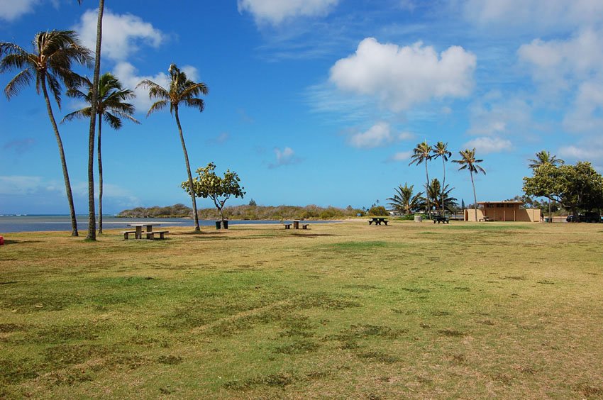 Large grassy park